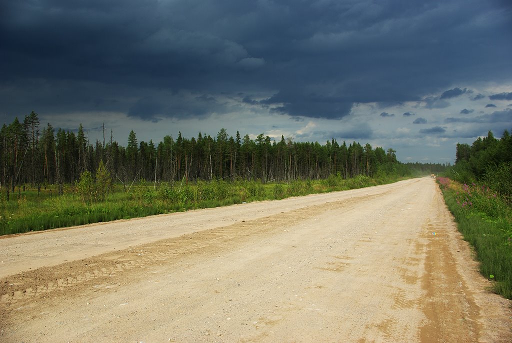 по дороге из п. Самодед на озеро Глубокое