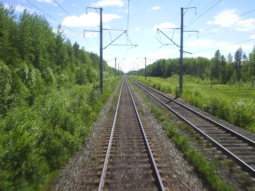 Дорога...