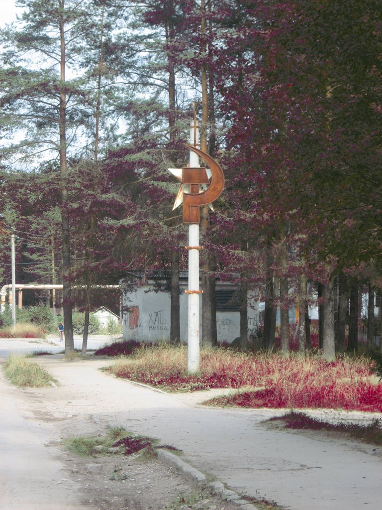 Savinskiy