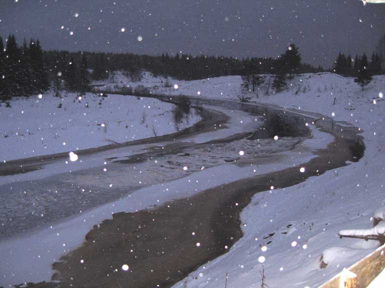 Kodino
