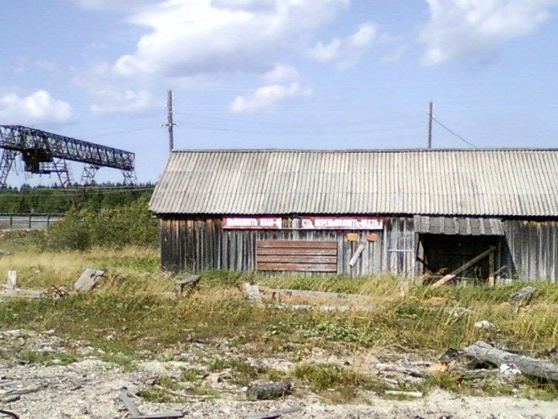 п. Тарнога 02.08.2010г.