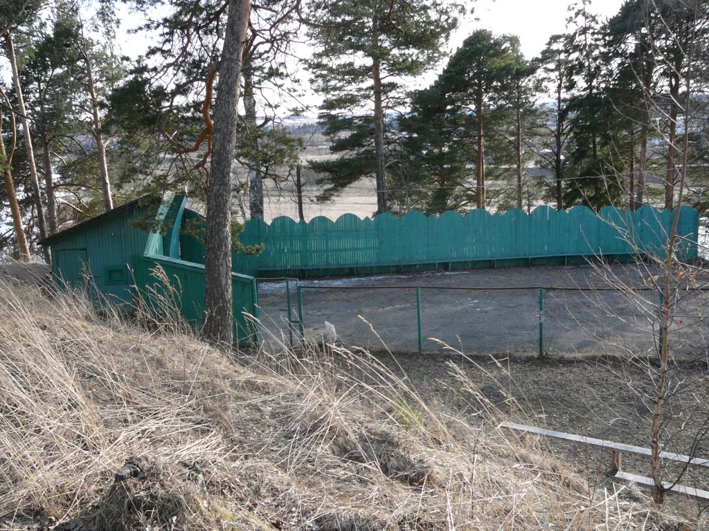 летний парк