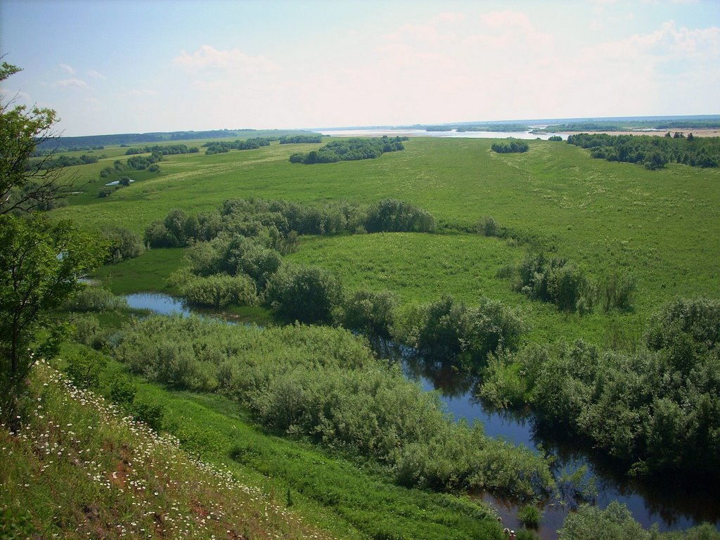 Карпогоры,луг1