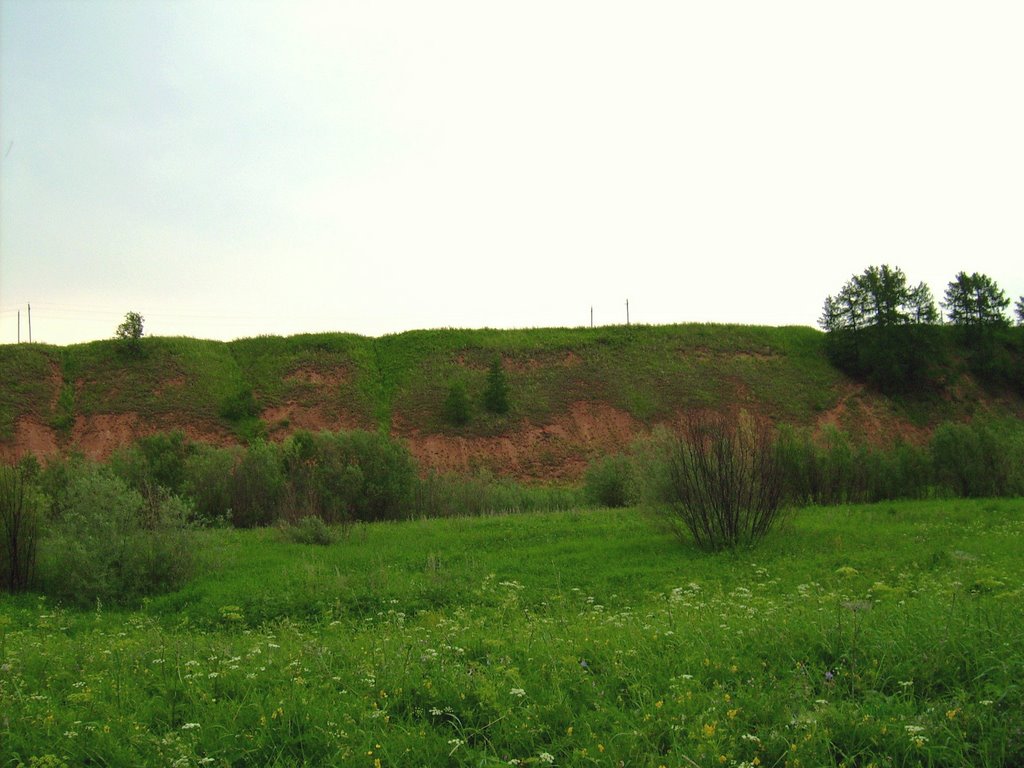 Карпогоры,луг4