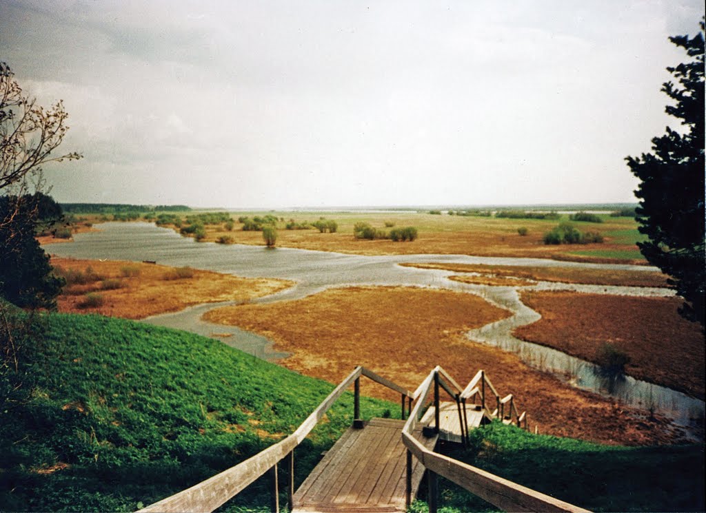 Карпогоры,лестница