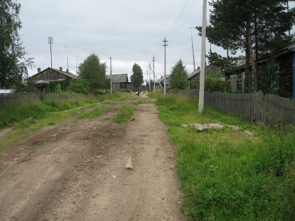 п. Кодино, ул. Леспромхозовская