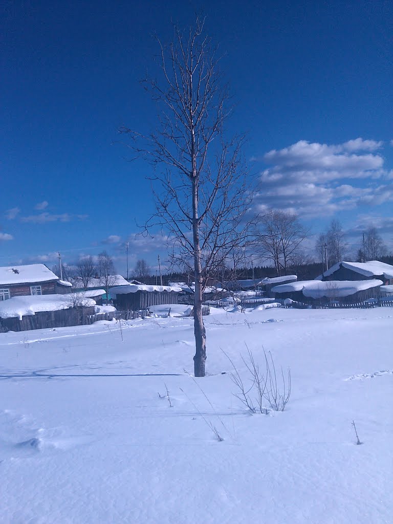 Березка