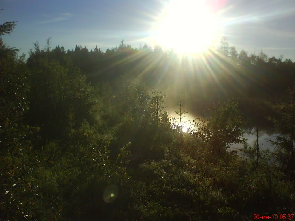 Парк Б