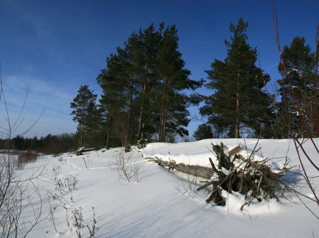 берег