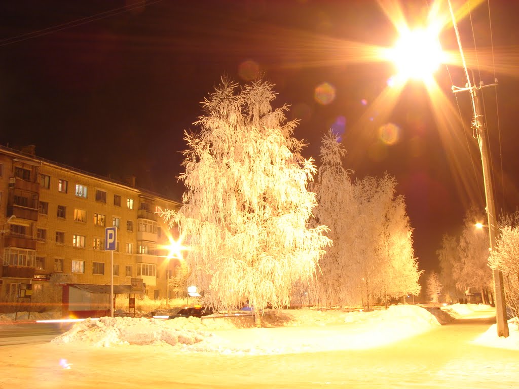 Frost