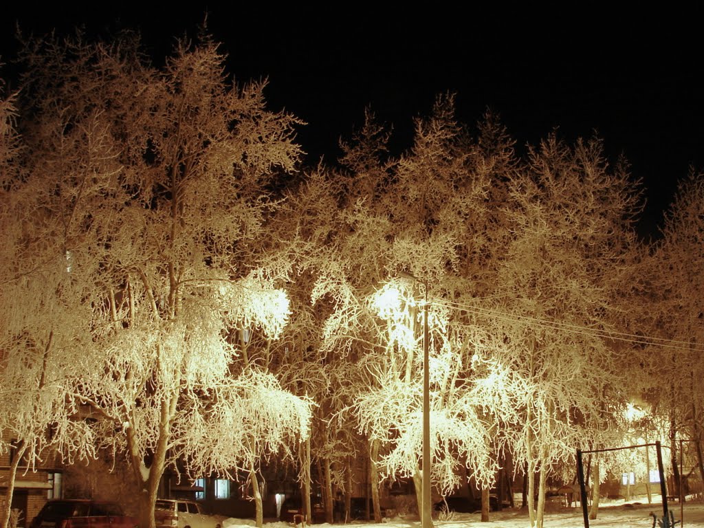 Frost