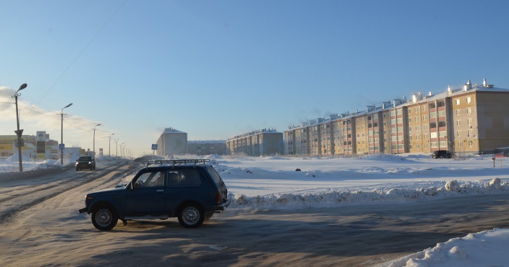 "Палкинский" район