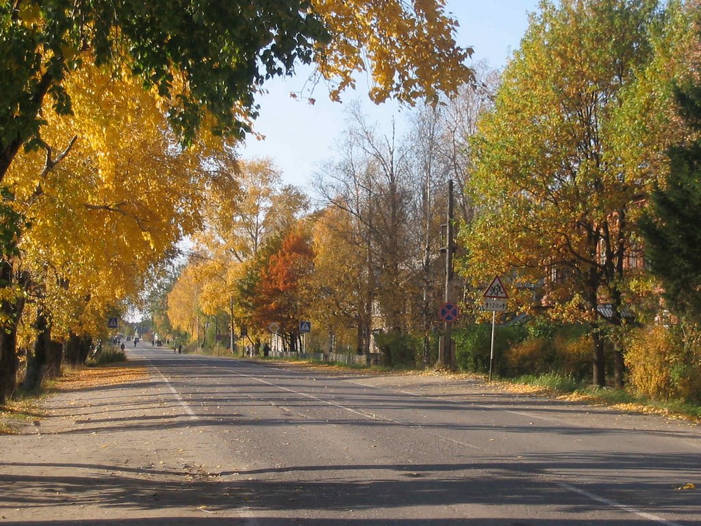 Gagarina st.