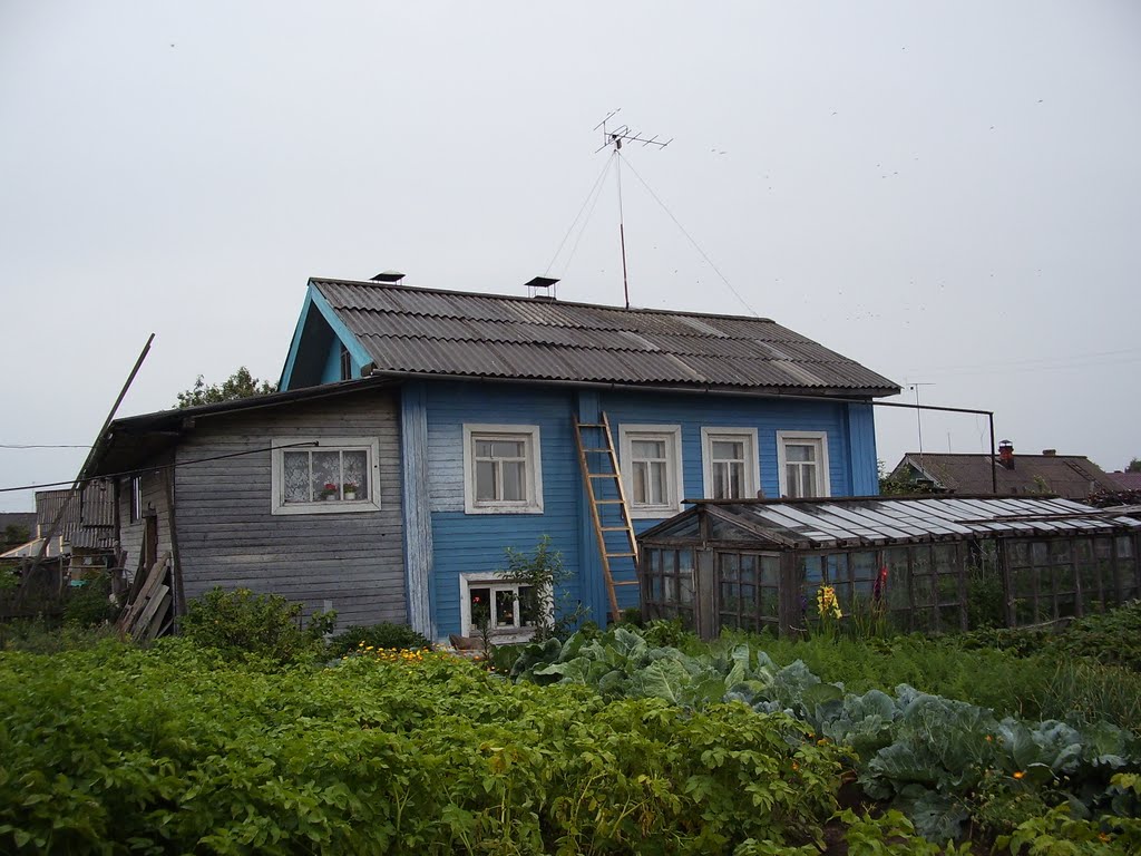 Красноборск 2009-08-14