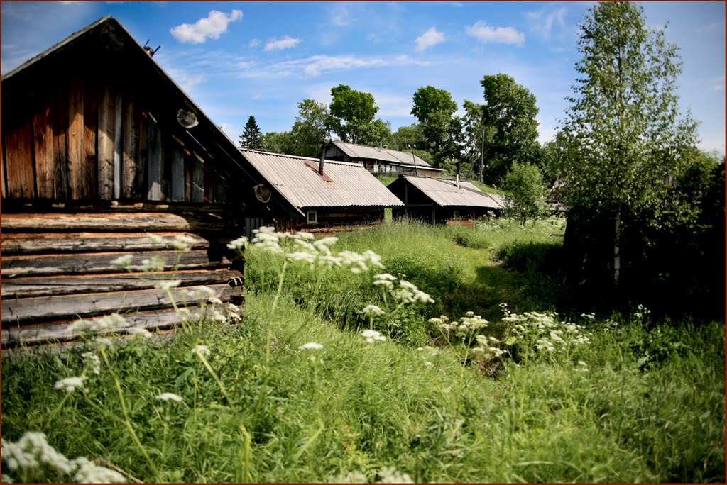с.Красноборск. Глубокий ручей. Баньки