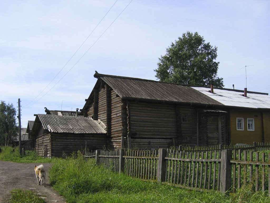Лешуконевское