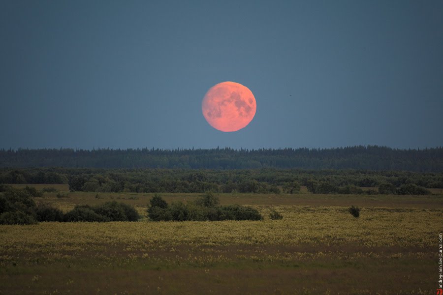 Low moon (500 mm)