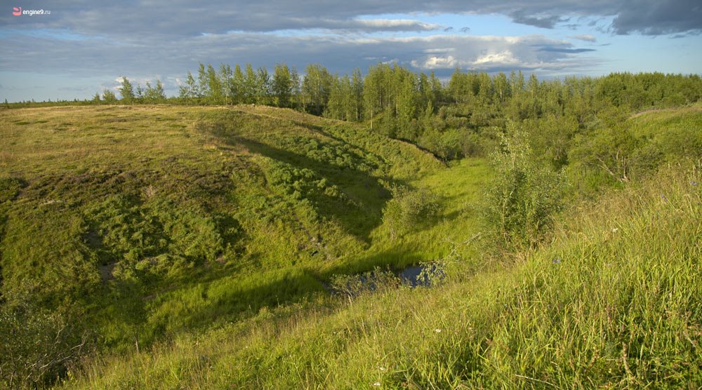Курган, ручей