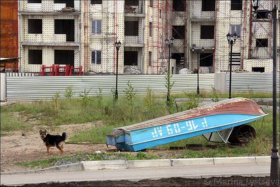 Новостройка, лодка и пёс
