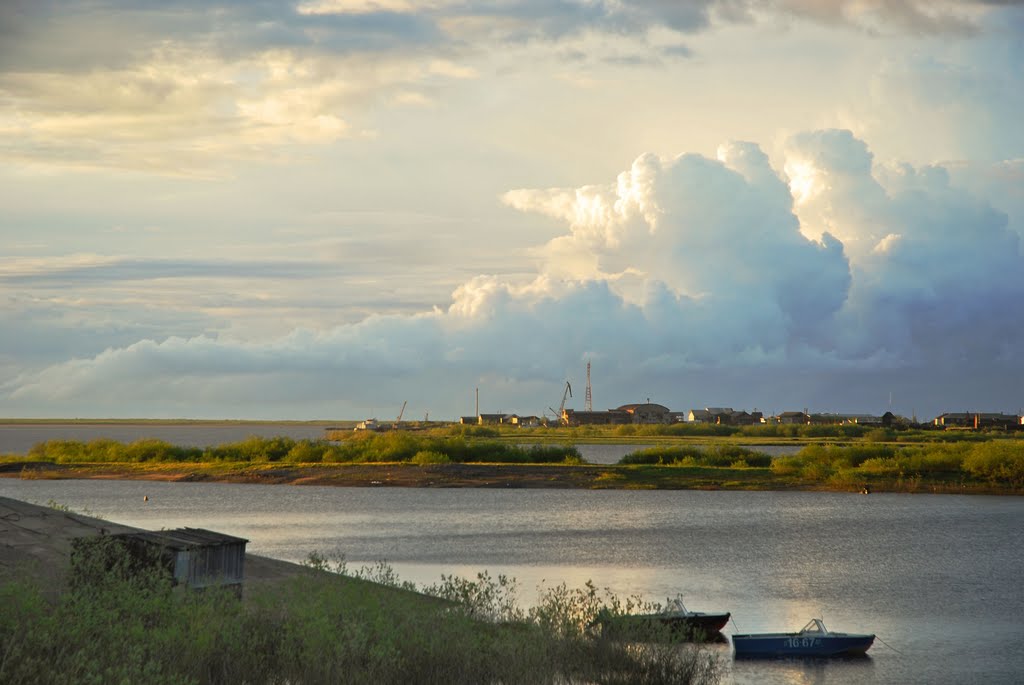 вид на р. Городская курья, с ул. Первомайской июль