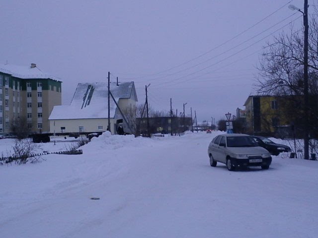 улица Сапрыгина январь 2012