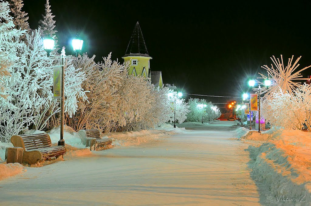 Улица Смидовича