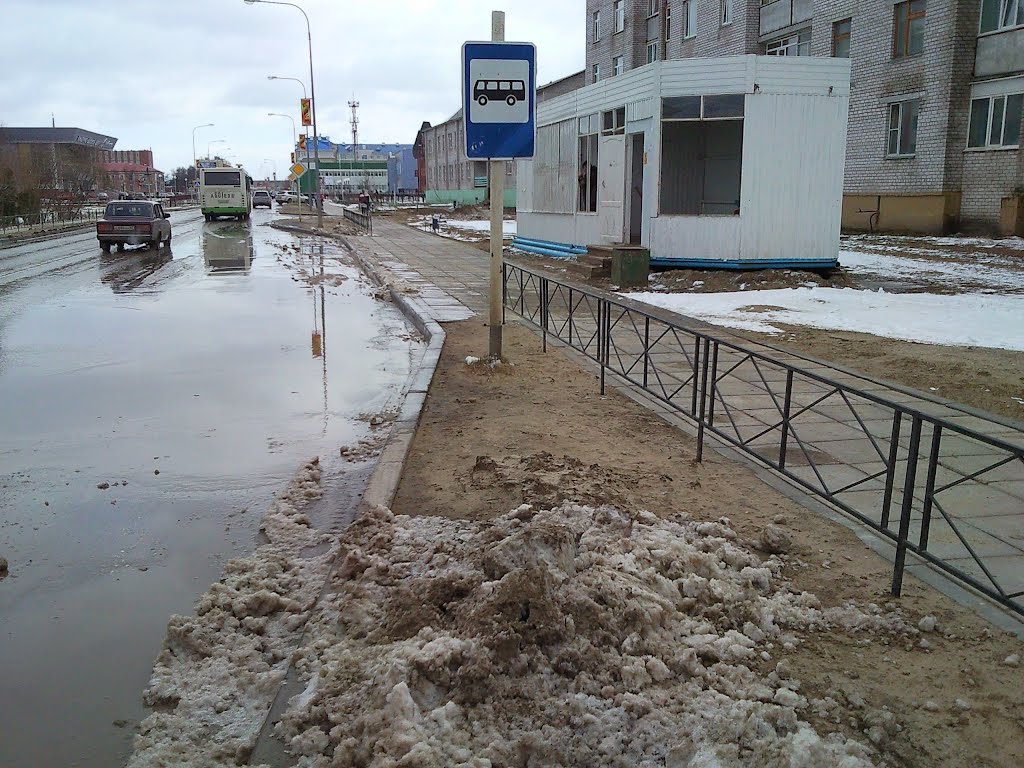 Остановка "Педколледж"