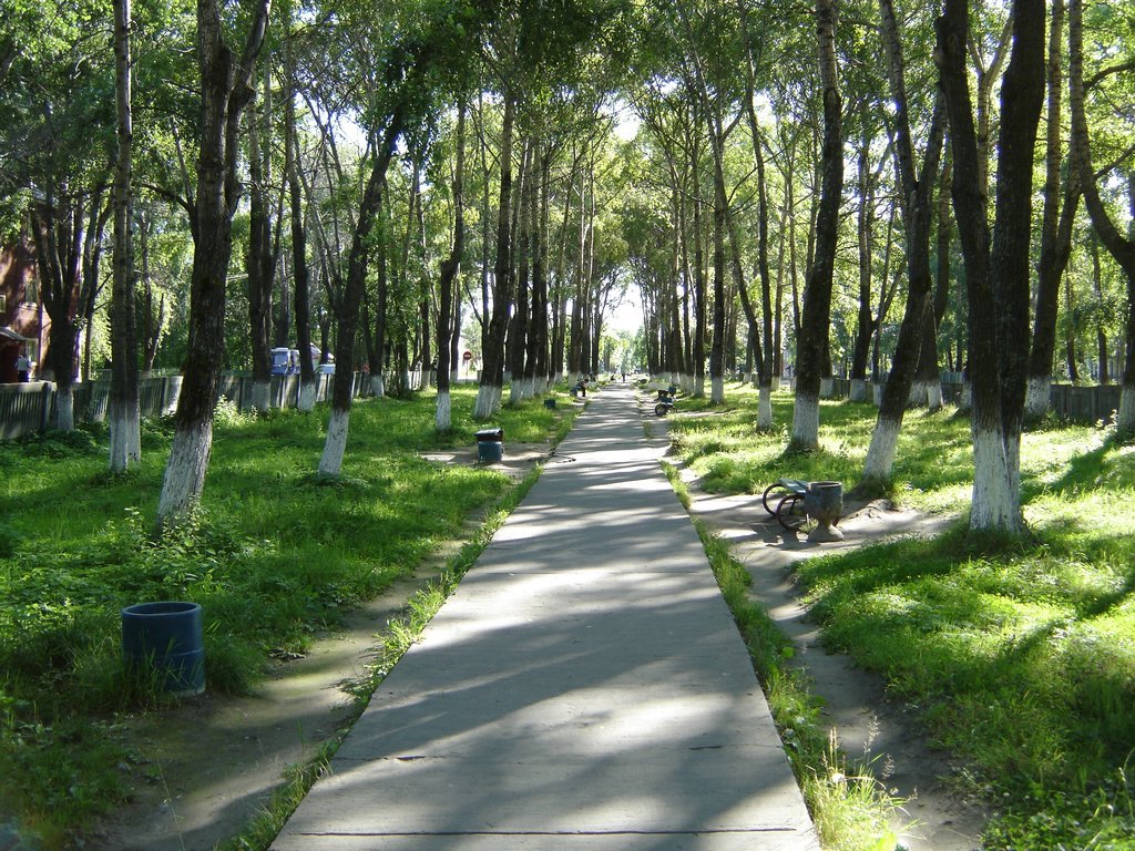 Аллея