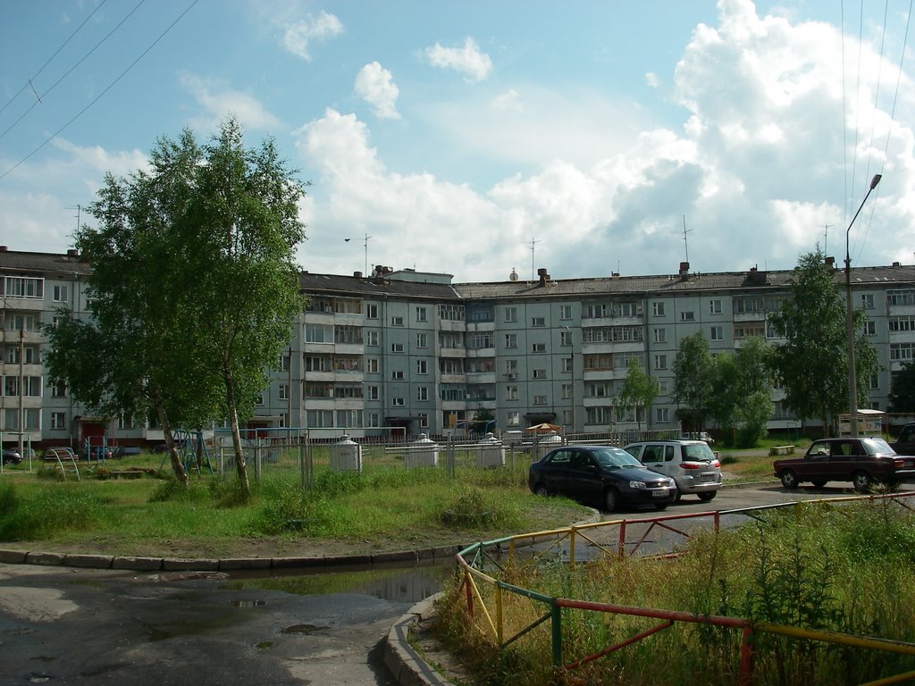 В одном из дворов. 170709