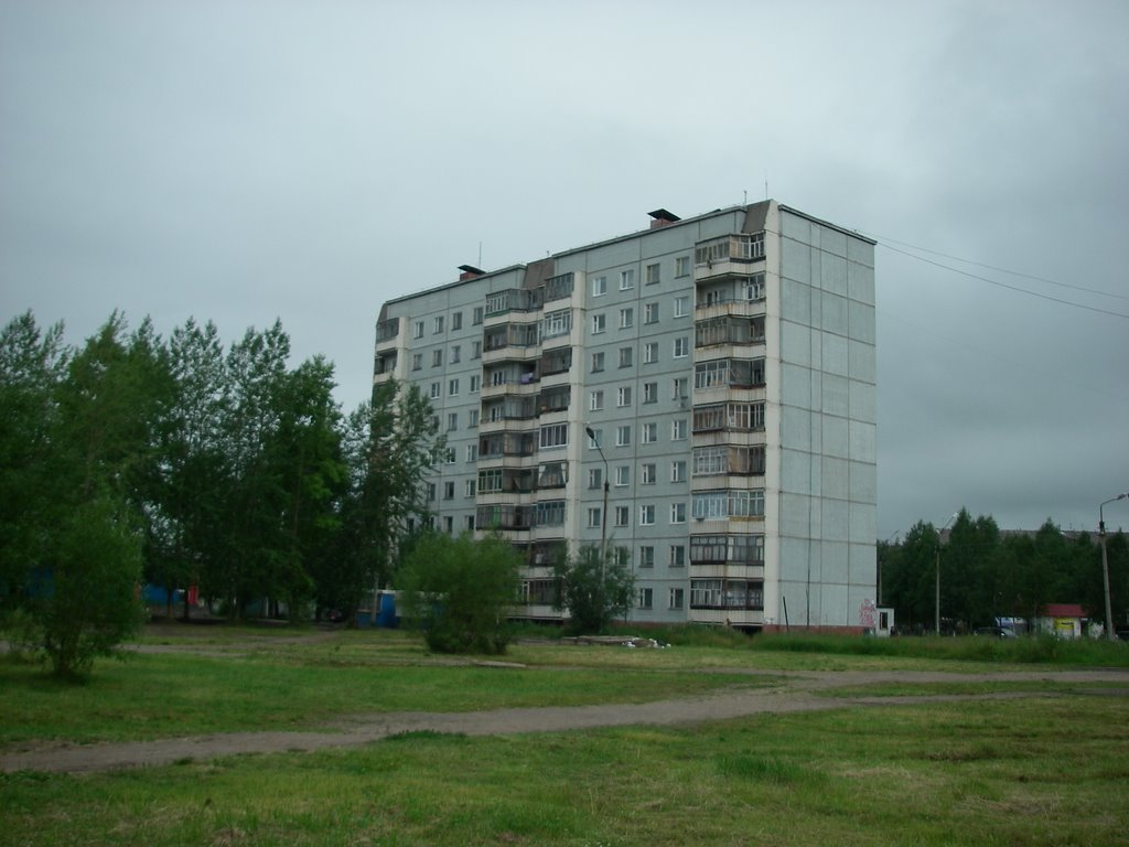 Девятиэтажка. 250709