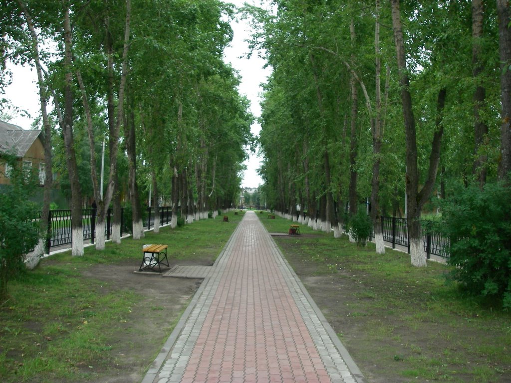 Улица 50 лет Октября. 250709