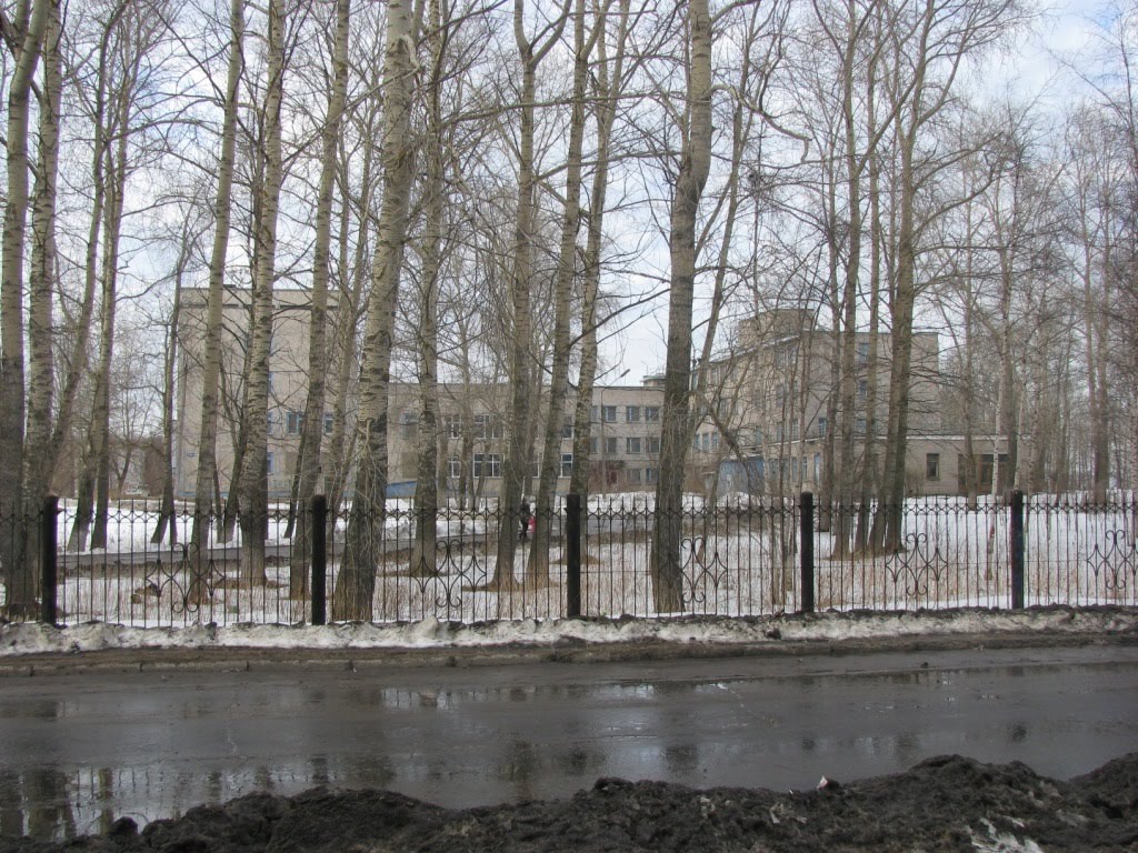 Новодвинск