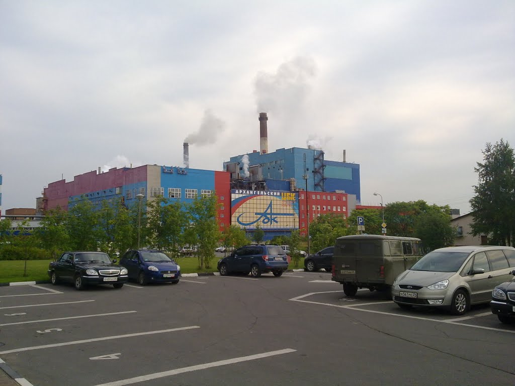 Новодвинск. Архангельский ЦБК / Arkhangelsk pulp-and-paper industrial complex in the Novodvinsk