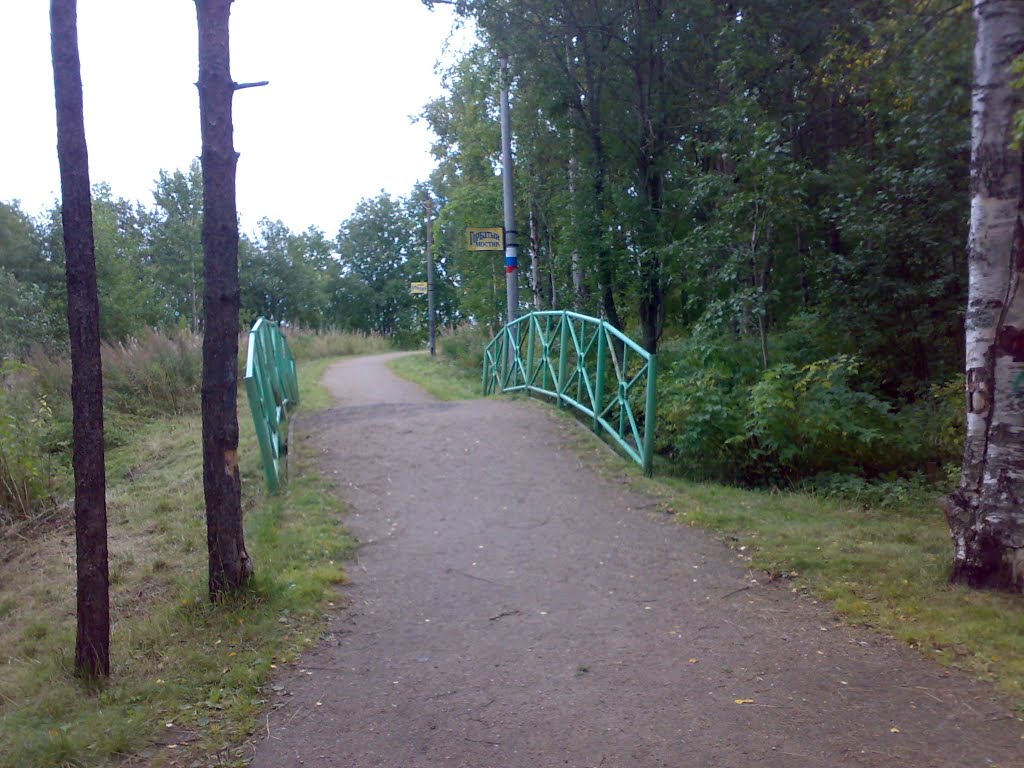г.Новодвинск, горбатый мостик