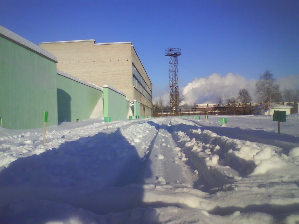 Лыжня на стадионе в Новодвинске