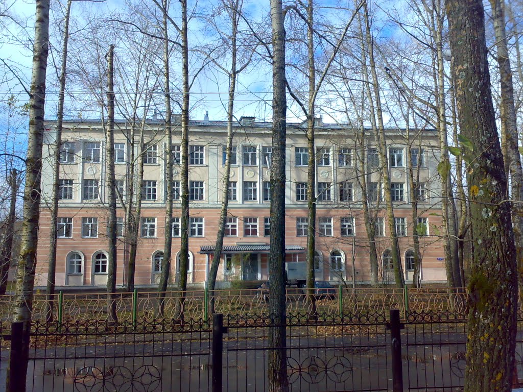 Гимназия