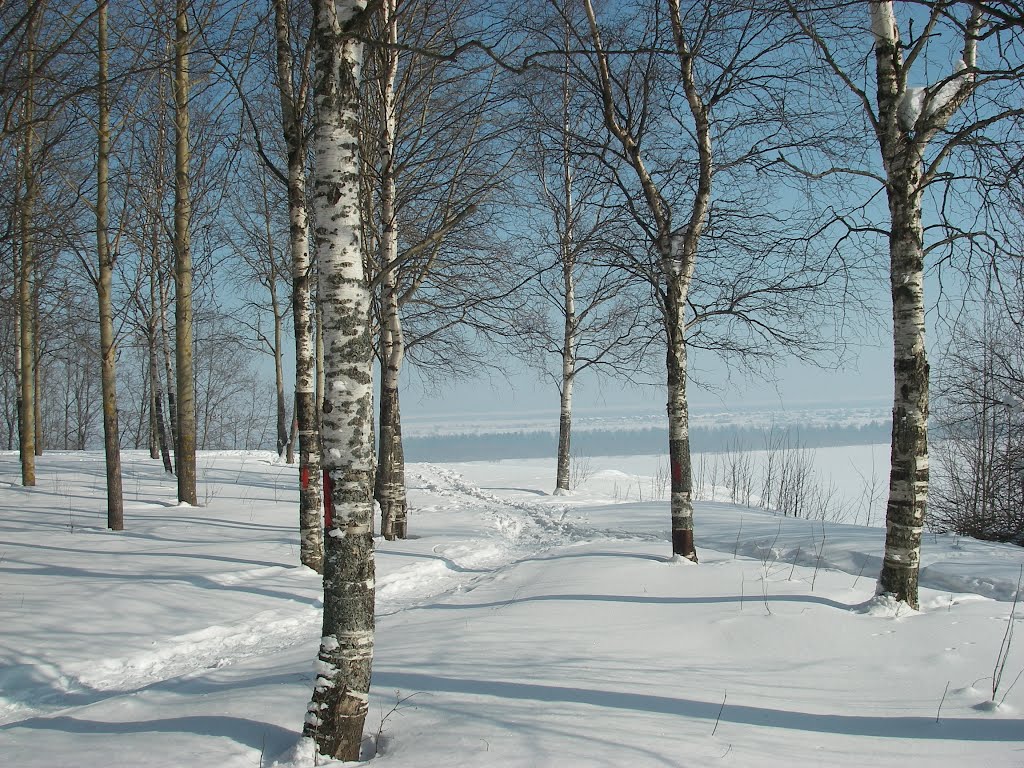 В парке. 16.03.13.