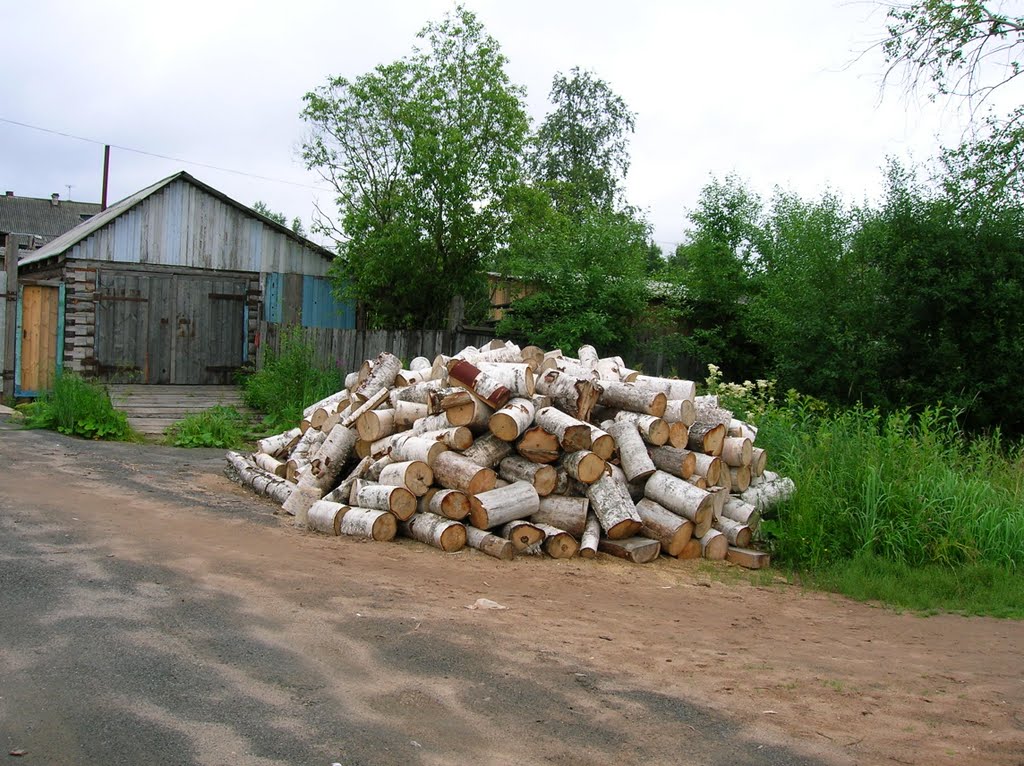 город Онега, Архангельская область