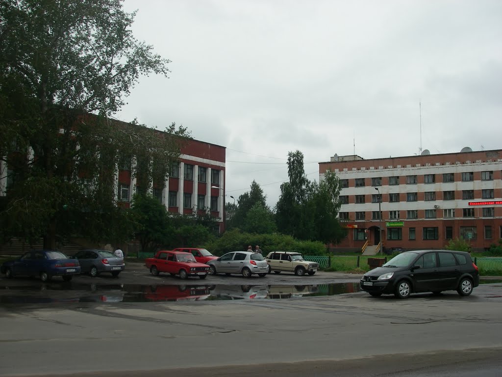 В центре.17.07.10.