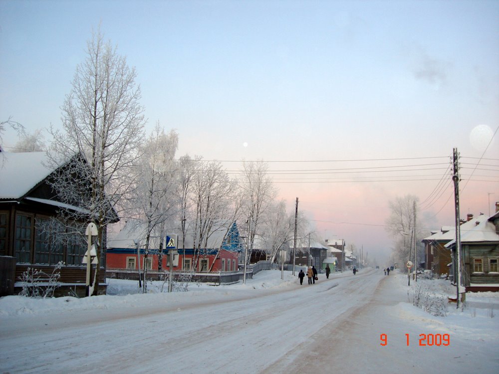 Пинега (январь, 2009)