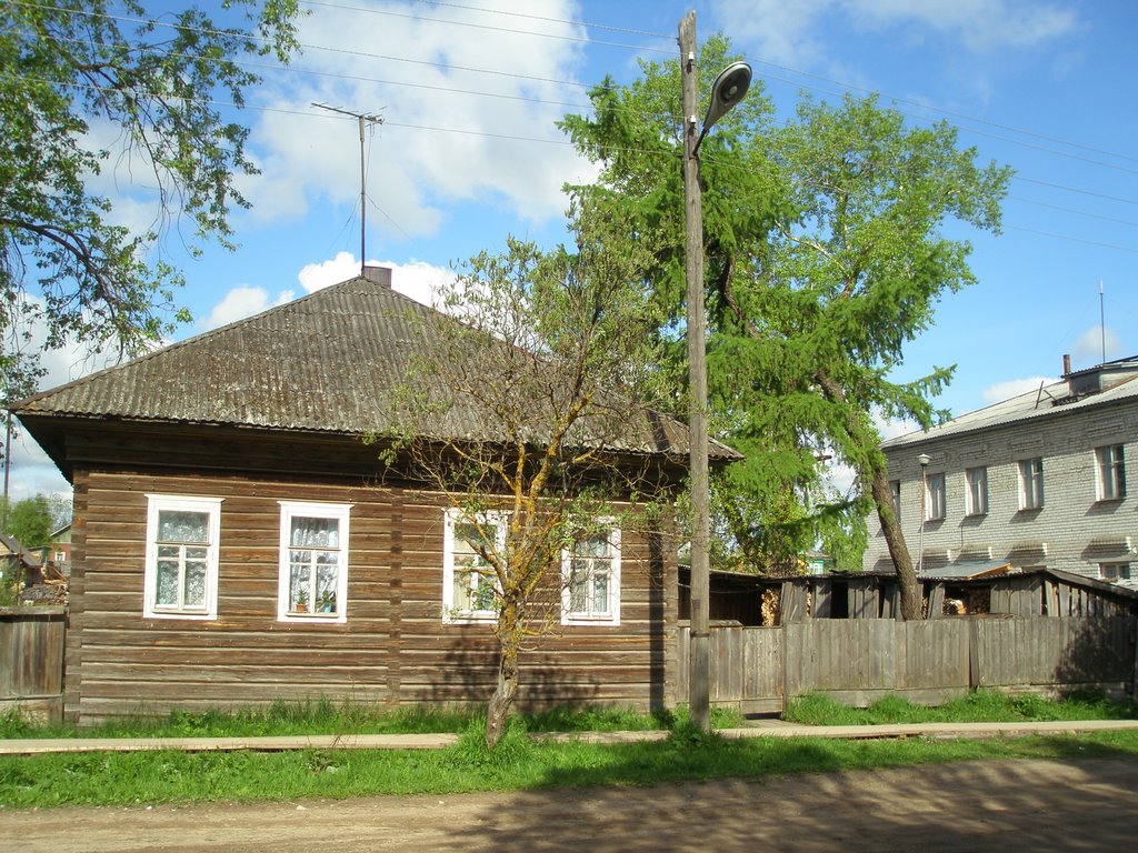Пинега