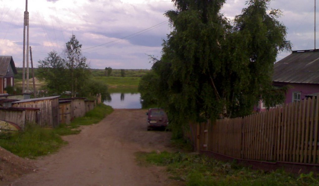 Пинега. По дороге к реке.