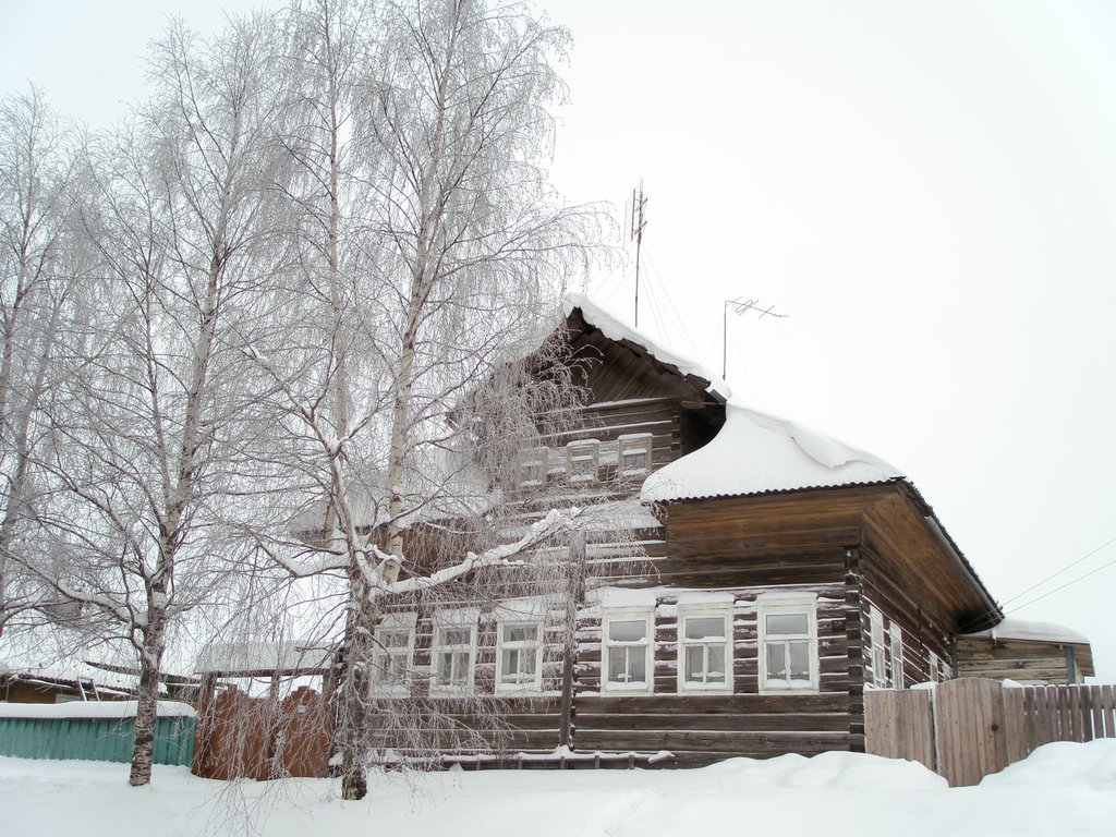 Пинега