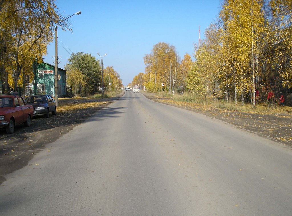 pic003