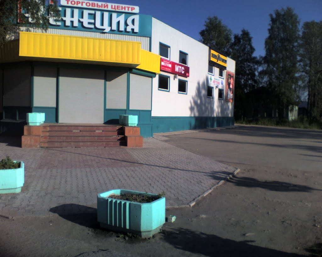 Плесецкие магазины