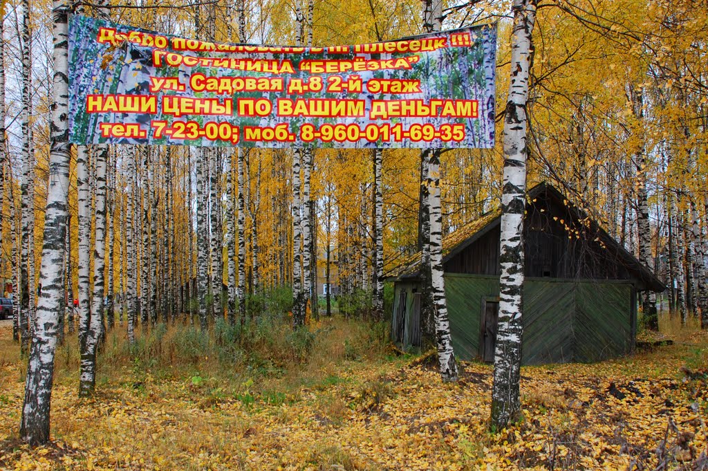 Plesetsk