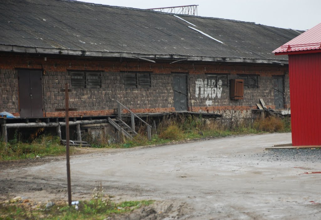 Plesetsk