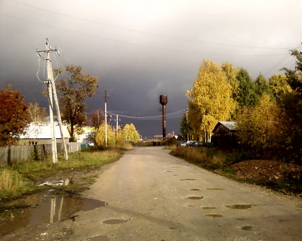 Дорога к дому.Улица Фокина.