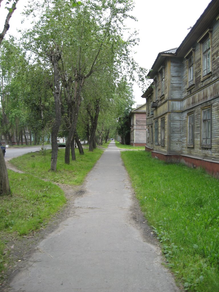 Лесная ул., фото 12