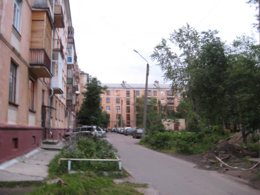 Двор на Гагарина